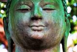 Buddhismo senza illusioni – Il Dharma