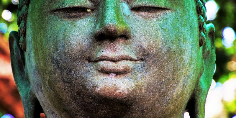 Buddhismo senza illusioni – Il Dharma