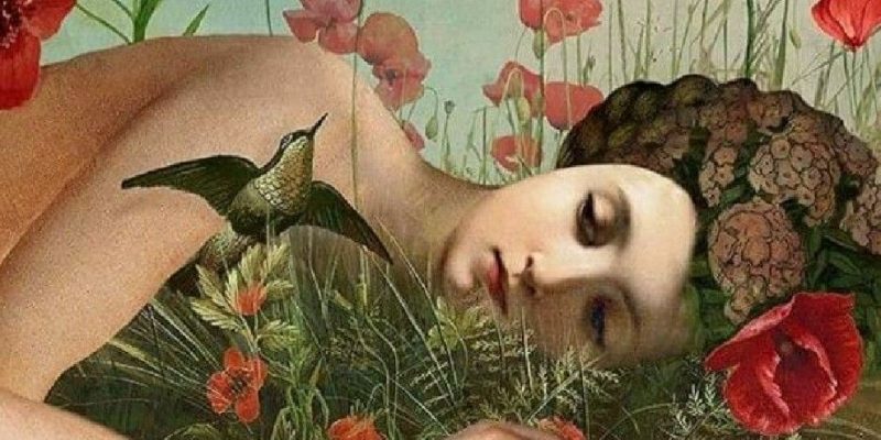 Il Circolo Alchemico dell’Energia e le Fasi Iniziatiche