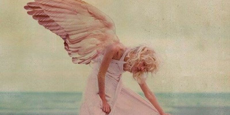 Rinascere attraverso le tue cicatrici