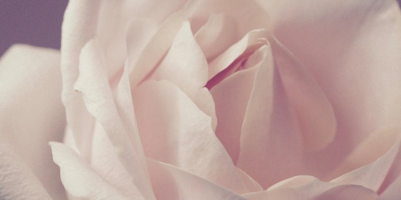 Non nutrire la paura. Una breve meditazione in regalo per te oggi