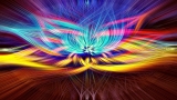 I Chakra Transpersonali