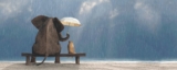 Dal fastidio alla compassione