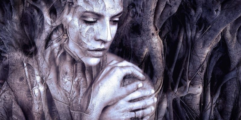 Accogli le tue Radici