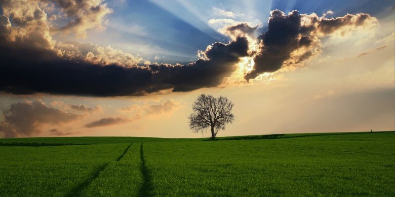 La Vita-Dio non esclude niente, perché tu si?