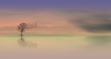 Meditazione Vipassana – La Vacuità