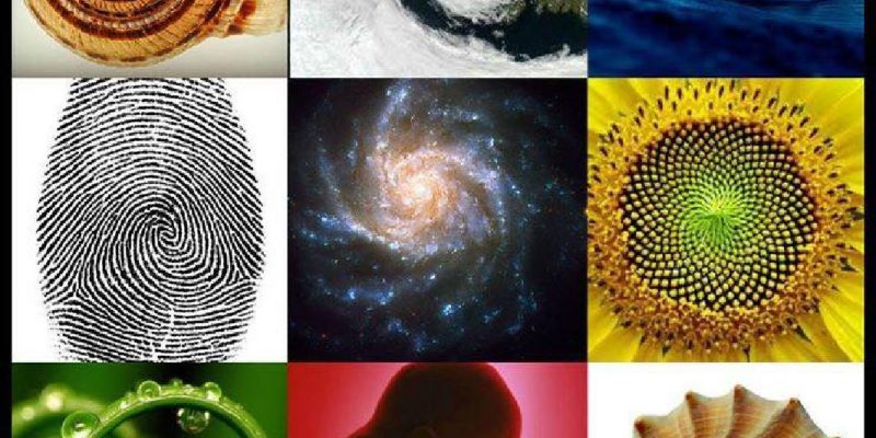 Ho capito quello che sono…