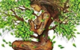 Dell’arte del cambiamento, terza regola: senza radici non si può volare