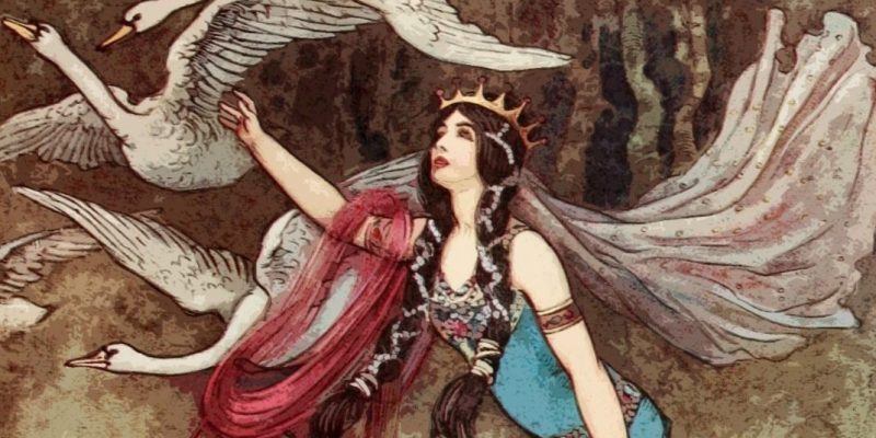 Essere “Cigno”