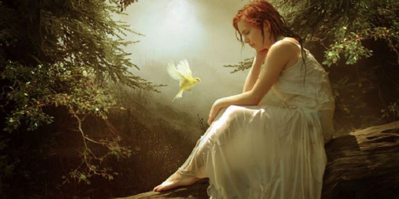 Accettiamo il dolore ma non la gioia