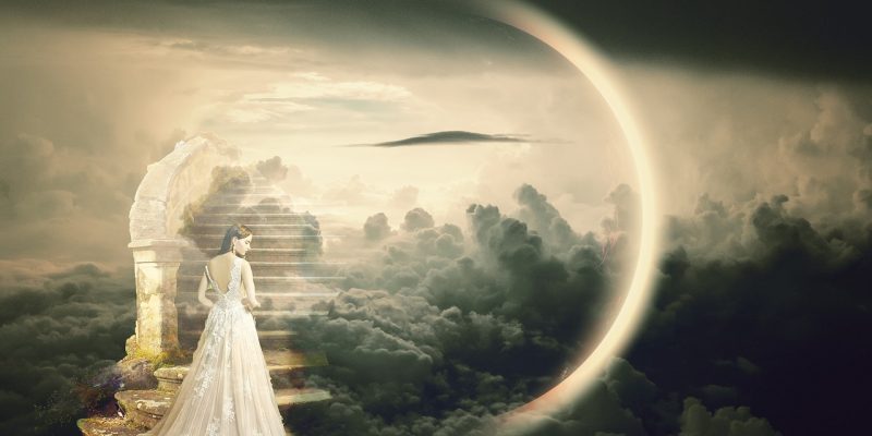 Vietato Calpestare i Sogni