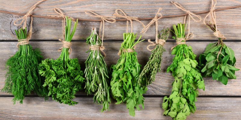 Erbe selvatiche per detersivi naturali