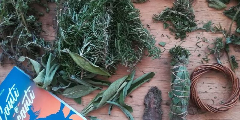 Le buone erbe per purificare ed energizzare gli spazi