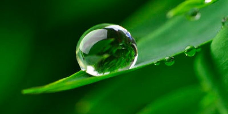 Non lo sai come sarà il futuro