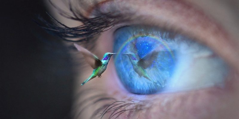 La Ribellione mantiene Vivi