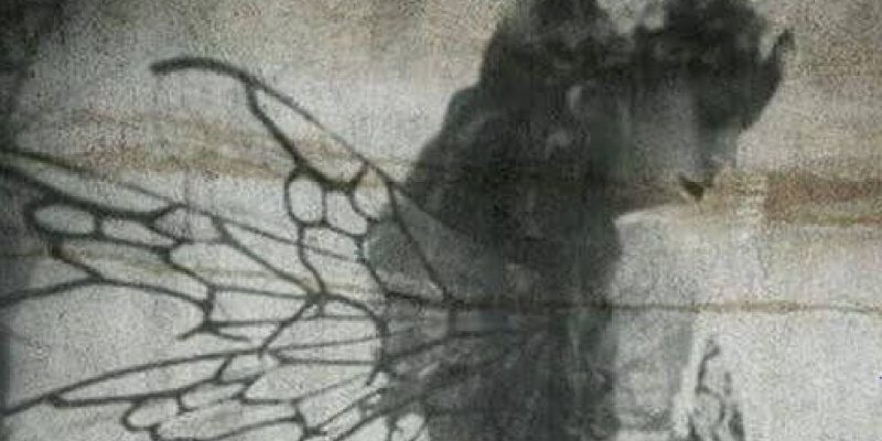 Abitare il Tempio, Abitare il Corpo