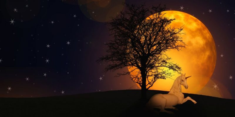 La Vita è una Favola