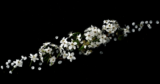 Oracolo dei Fiori Alchemici