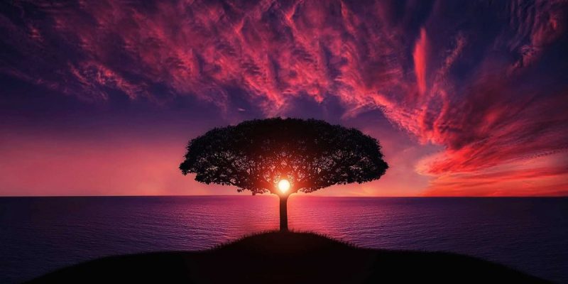 Alziamo l’Energia Insieme – Consigli Pratici