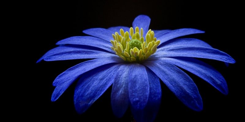 Il Giardino dentro di Te