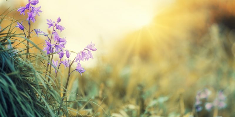 Ciao, mi chiamo anima e ho un messaggio per te