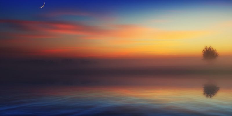 Coelho – Sei Tu…