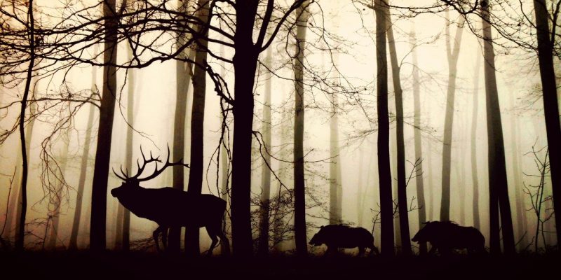 L’ora delle ombre lunghe