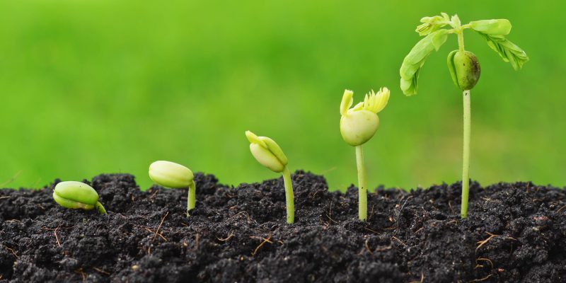 Dio è in te! Il senso della vita è viverla..