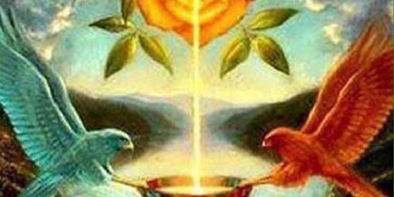 I 7 segni che ti dicono che sei nel Risveglio del Sacro Femminile