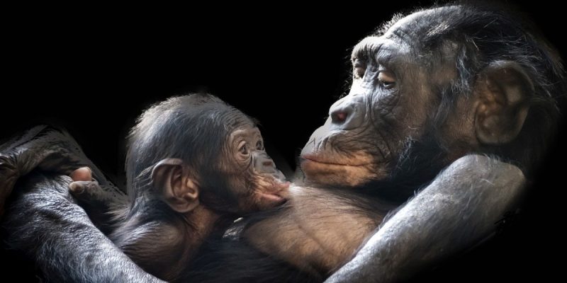 Madre madri figlia figlie