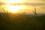 La Loba canta il suo canto antico per te, donna selvaggia