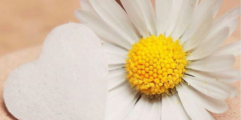 La Gratitudine è Riconoscimento