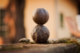 Meditazione Zen – Oltre la rabbia
