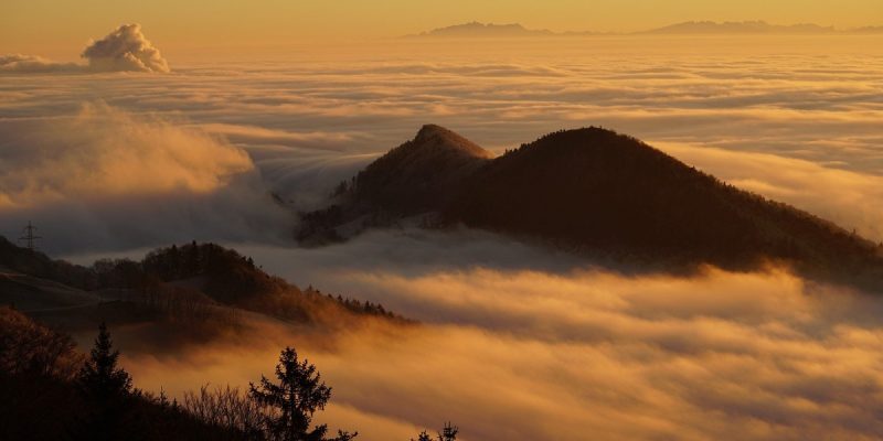 La vita è più ampia