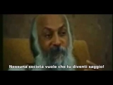 Nessuna Società Vuole Che Tu Diventi Saggio