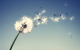 Meditazione – L’Impermanenza…