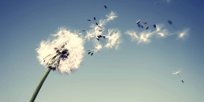 Meditazione – L’Impermanenza…