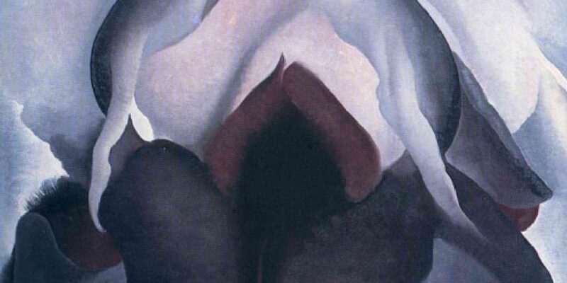 Quel fiore astratto e sensuale che sa di Femminile Primordiale