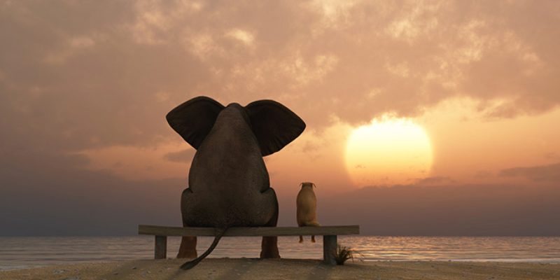 L’Arte di Ascoltare