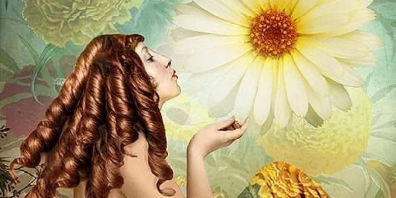 Lo sguardo oltre la forma