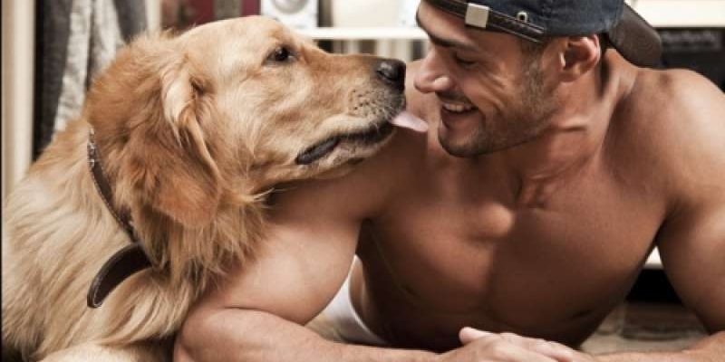 Animali Specchio dell’Anima