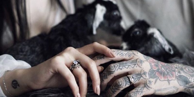 Le Pecore Nere della famiglia