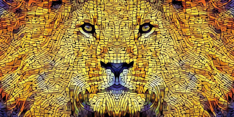 Scopri il Numero della tua Forza!