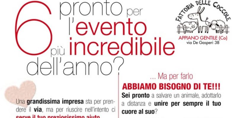 Progetto #1000CUORI!