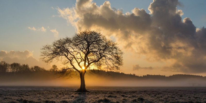 Cosa rimarrà quando tutto questo Ego si sarà spento?