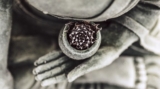 Cosa significa vivere Zen?
