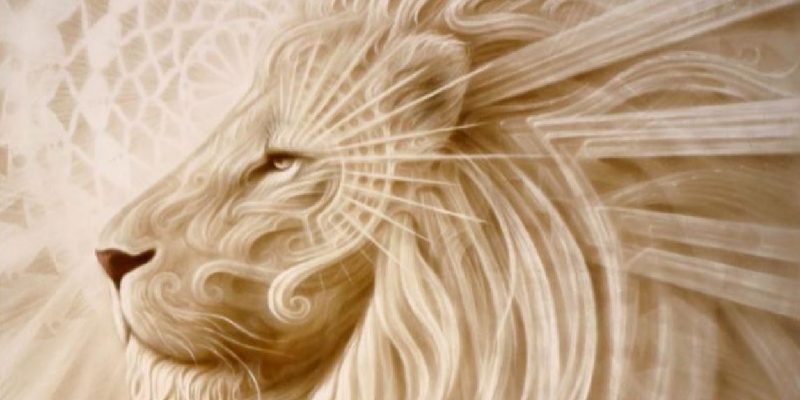 Abbiamo percorso insieme l’Universo…la Luna Nuova in Leone