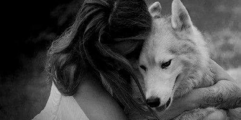 Il fuoco della Libertà