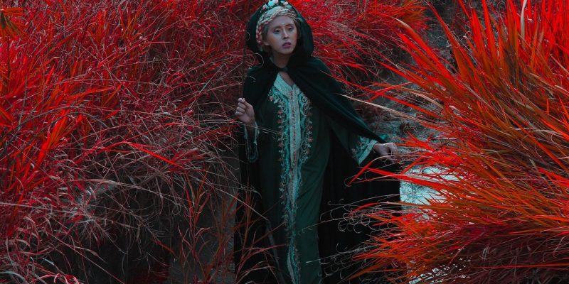 Mi presento, sono Sua Maestà il Dovere