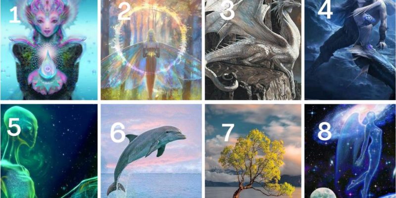 Scopri con quale Creatura magica hai un legame speciale